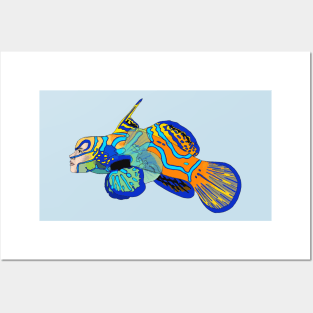 Mandarin Dragonet Ladyfish Posters and Art